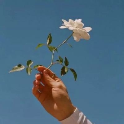 零点一毫升畅玩版下载